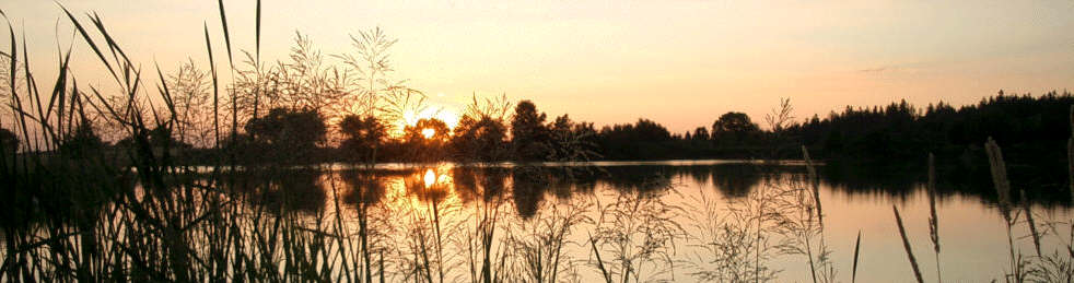 Abendstimmung an einem Naturteich